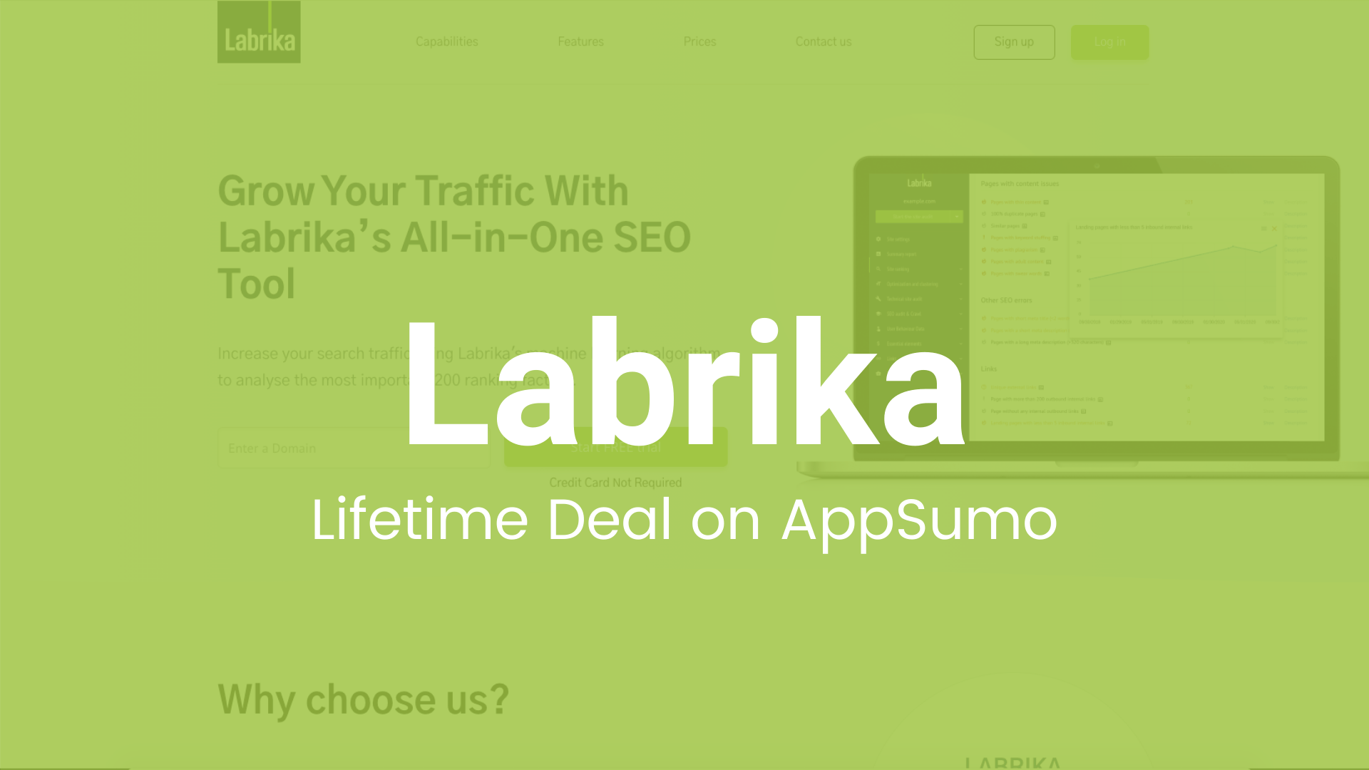 Labrika: All-in-One SEO Tool