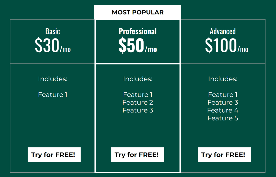 Sample pricing page with the center stage effect