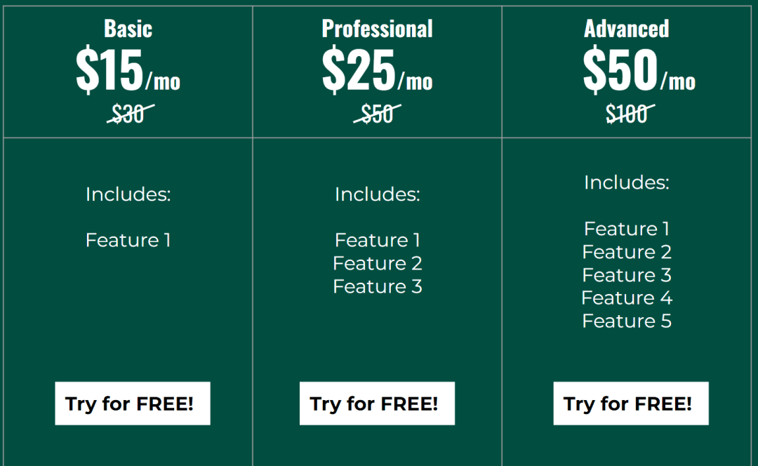 Sample pricing page with slashed prices