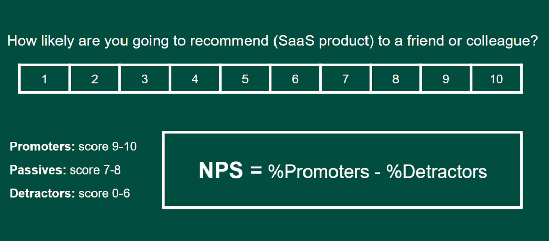 Net promoter score sample survey and calculation