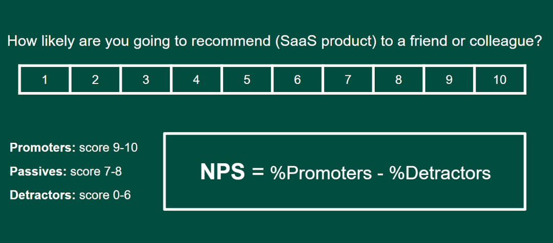 Net promoter score sample survey and calculation Net promoter score sample survey and calculation